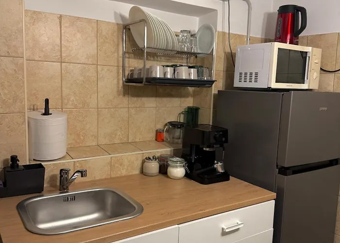 公寓 Penthouse Unirii - Free Parking 布加勒斯特