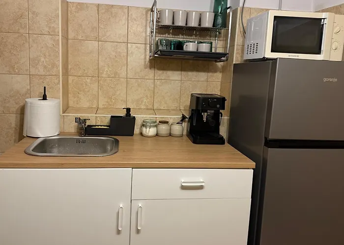 Penthouse Unirii - Free Parking Apartman *